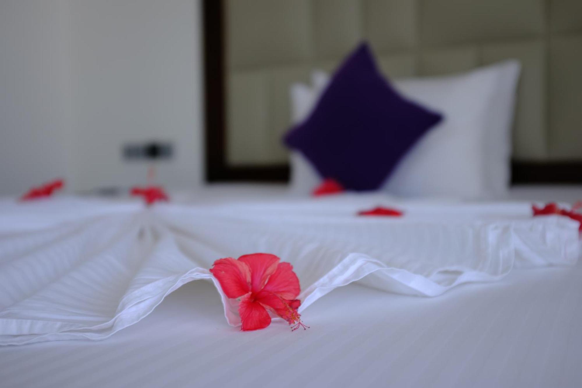 Mzion Hotel ווליגאמה מראה חיצוני תמונה