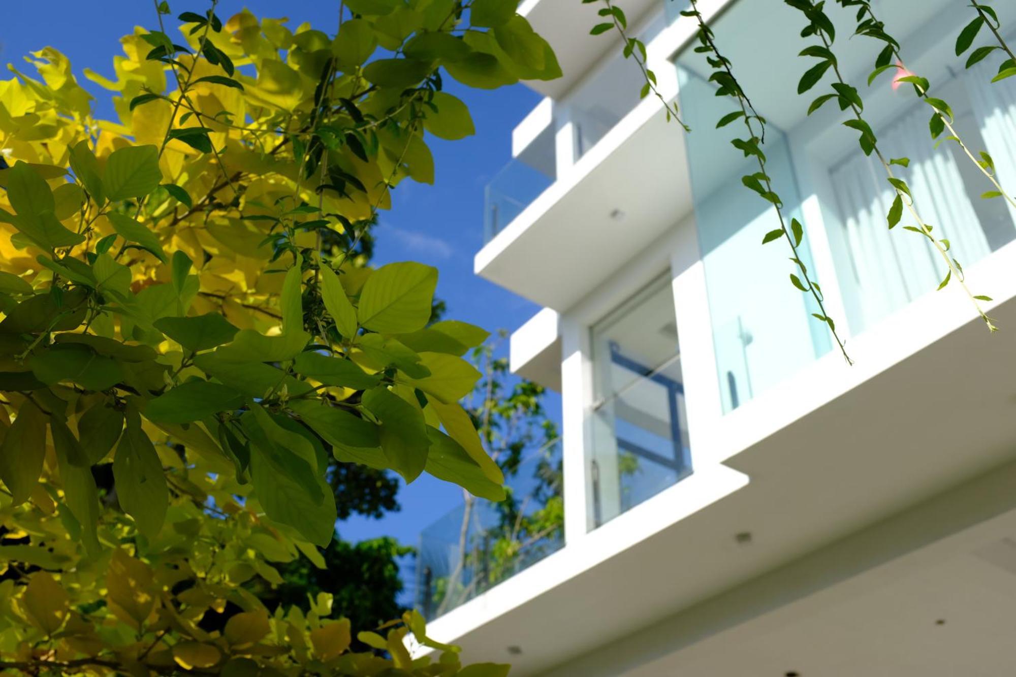 Mzion Hotel ווליגאמה מראה חיצוני תמונה